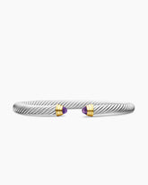 Classic Cable Bracelet in Sterling Silver with 14K Yellow Gold and Amethyst, 5mm