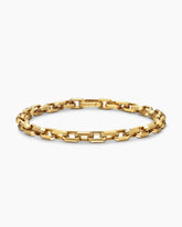 Streamline® Link Bracelet in 18K Yellow Gold, 5.5mm