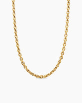 Faceted Chain Necklace in 18K Yellow Gold, 7mm