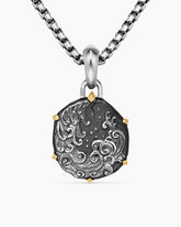 Aquarius Amulet in Sterling Silver with 18K Yellow Gold, 23mm