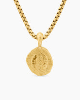 Pisces Amulet in 18K Yellow Gold, 17mm