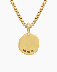Aquarius Amulet in 18K Yellow Gold, 17mm
