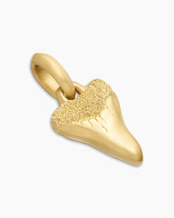Shark Tooth Amulet in 18K Yellow Gold, 17mm
