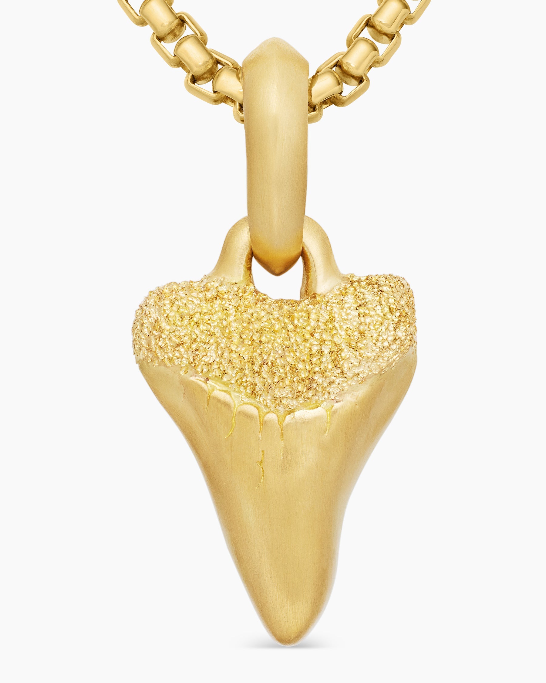 Shark Tooth Amulet in 18K Yellow Gold, 17mm