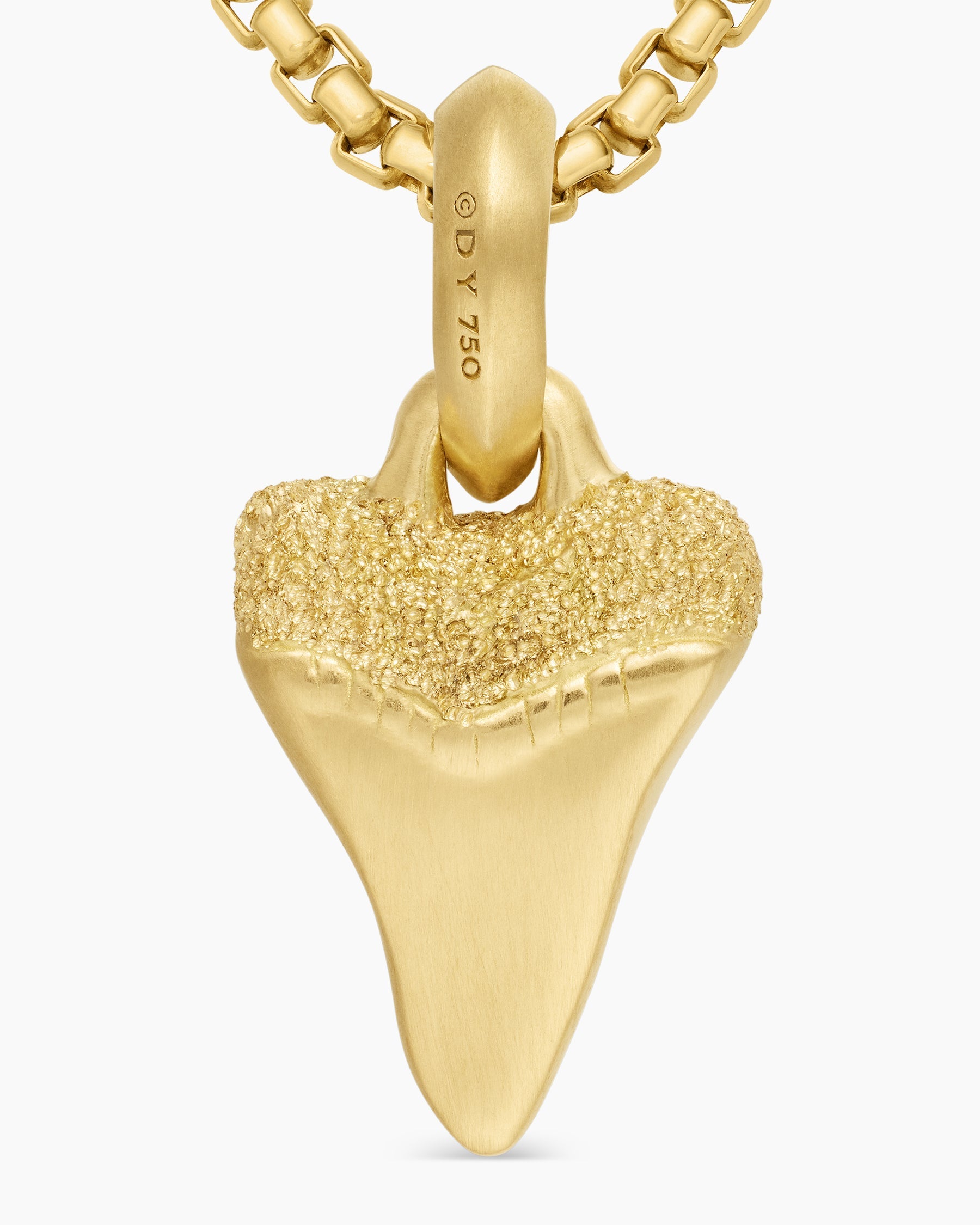 Shark Tooth Amulet in 18K Yellow Gold, 17mm