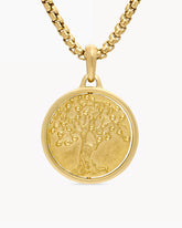 Life and Death Duality Amulet in 18K Yellow Gold, 24mm