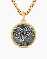 Life and Death Duality Amulet in Sterling Silver with 18K Yellow Gold, 24mm