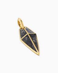 Spearpoint Amulet in 18K Yellow Gold with Forged Carbon, 27mm