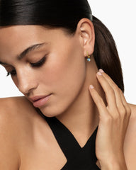 Micro Chatelaine® Drop Earrings in 18K Yellow Gold with Aquamarine, 5mm