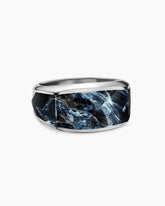 Streamline® Signet Ring in Sterling Silver with Pietersite, 13mm
