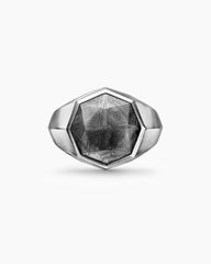 Faceted Signet Ring in Sterling Silver with Meteorite, 17.3mm