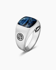 Streamline® Signet Cushion Ring in Sterling Silver with Pietersite, 14mm