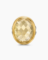Albion® Oval Ring in Sterling Silver with 18K Yellow Gold and Champagne Citrine, 21mm
