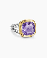 Albion® Ring in Sterling Silver with 18K Yellow Gold and Amethyst, 11mm