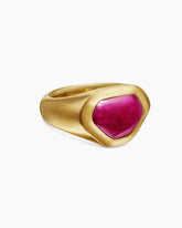 Shipwreck Signet Ring in 18K Yellow Gold with Ruby, 14.5mm
