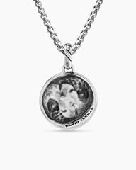 Pisces Amulet in Sterling Silver with 18K Yellow Gold and Diamonds, 19mm