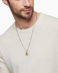 Petrvs® Horse Amulet in Sterling Silver with 18K Yellow Gold, 19mm