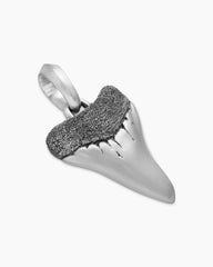 Shark Tooth Amulet in Sterling Silver, 25.8mm