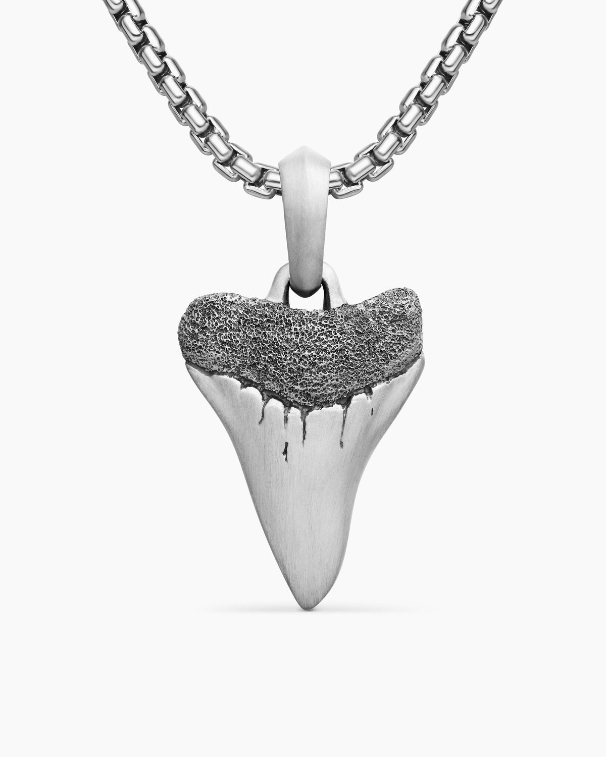Shark Tooth Amulet in Sterling Silver, 25.8mm