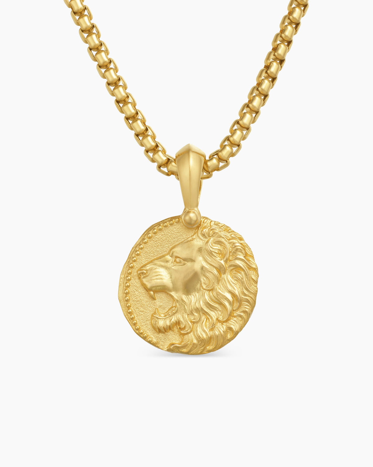 Leo Amulet in 18K Yellow Gold, 17mm