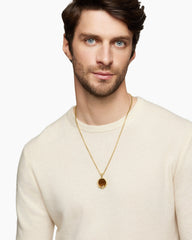 Ouroboros Amulet in 18K Yellow Gold with Tiger’s Eye and Ruby, 25mm