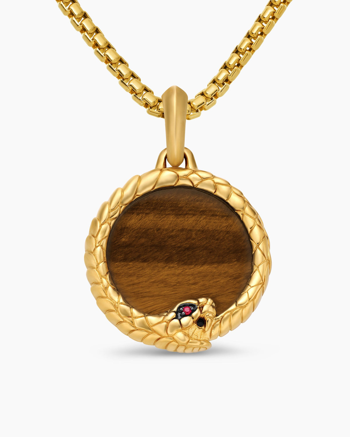 Ouroboros Amulet in 18K Yellow Gold with Tiger’s Eye and Ruby, 25mm