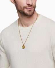 Water and Fire Duality Amulet in 18K Yellow Gold, 24mm