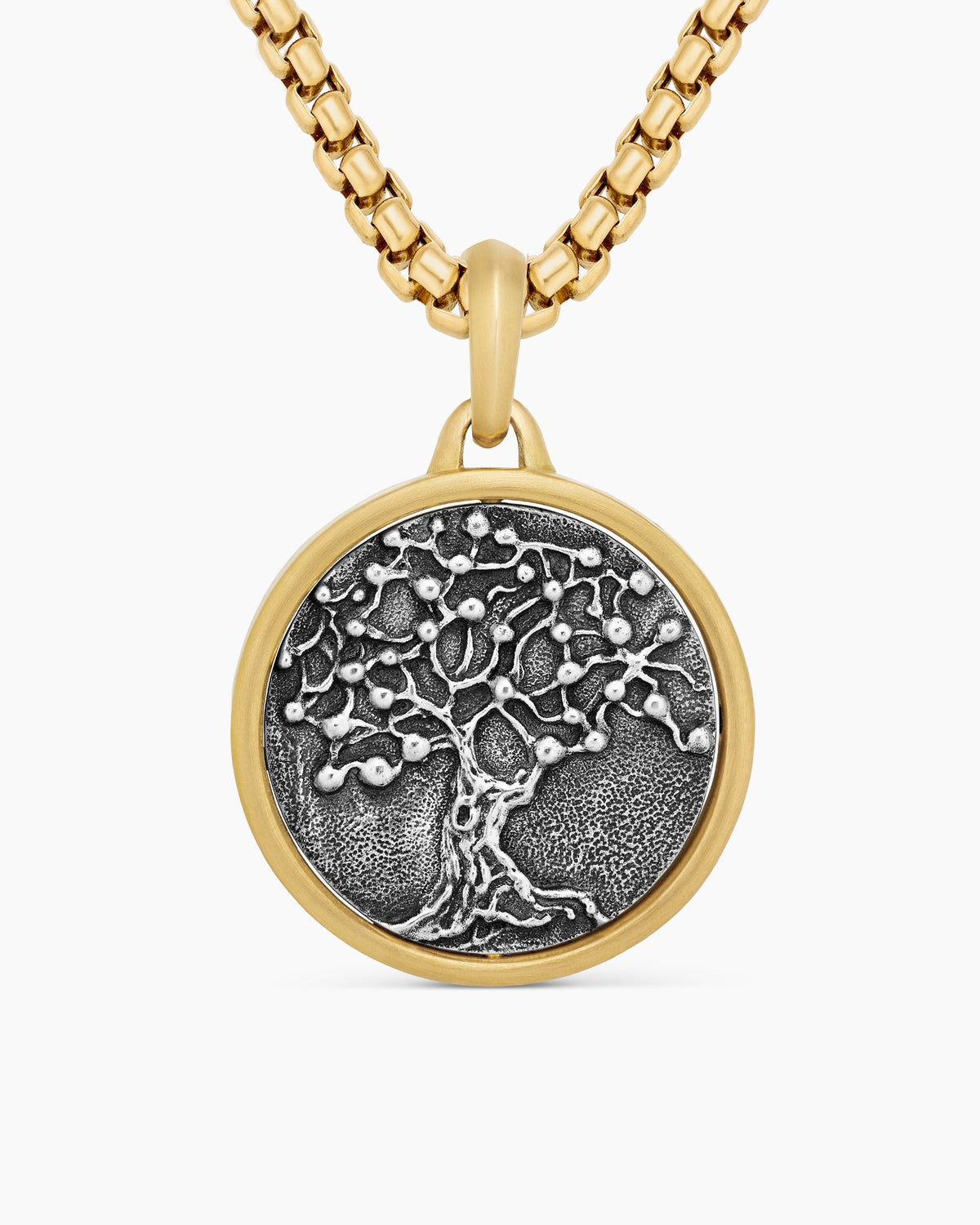 Life and Death Duality Amulet in Sterling Silver with 18K Yellow Gold, 24mm
