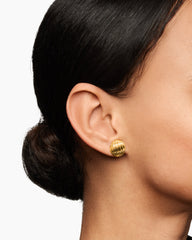 Sculpted Cable Stud Earrings in 18K Yellow Gold, 14mm