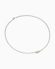 Petite Buckle Necklace in Sterling Silver with 14K Yellow Gold, 16.2mm