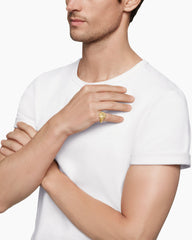 Petrvs® Lion Pinky Ring in 18K Yellow Gold, 15mm