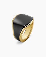 Streamline® Signet Ring in 18K Yellow Gold with Black Titanium, 20.2mm