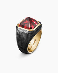 Hexagonal Signet Ring in 18K Yellow Gold with Forged Carbon and Garnet, 17.7mm
