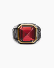 Hexagonal Signet Ring in 18K Yellow Gold with Forged Carbon and Garnet, 17.7mm