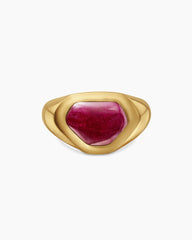 Shipwreck Signet Ring in 18K Yellow Gold with Ruby, 14.5mm