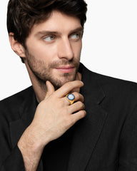 Petrvs® Wolf Signet Ring in 18K Yellow Gold with Banded Agate, 21.5mm