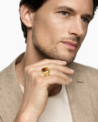 Streamline® Signet Ring in 18K Yellow Gold with Tiger's Eye, 18mm